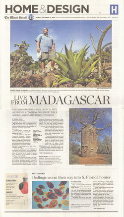 Home & Design: Supplement H of the Miami Herald, Sunday 24 September 2006