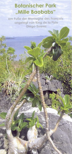 Botanischer Park 'Mille Baobabs': Am Fuße der Montagne des Français angelegt von King de la Piste Diego-Suarez