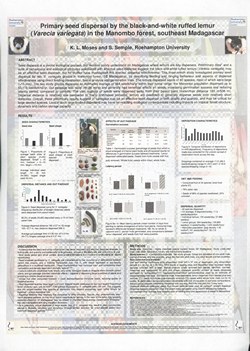 Primary seed dispersal by the black-and-white ruffed lemur (Varecia variegata) in the Manombo forest, southeast Madagascar