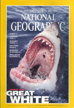 National Geographic Magazine: Vol. 197, No. 4, April 2000