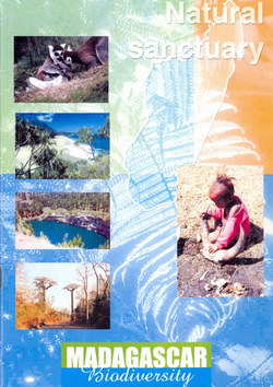 Madagascar Biodiversity: Natural Sanctuary