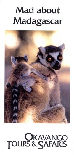 Mad about Madagascar