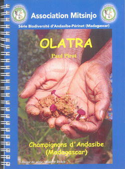 Olatra: Champignons d'Andasibe (Madagascar)