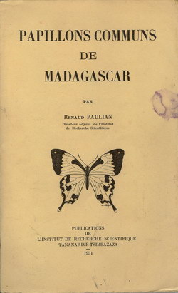 Papillons Communs de Madagascar