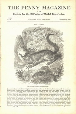 The Penny Magazine: 423: November 3, 1838