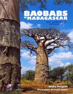 Baobabs de Madagascar: Les arbres à l'envers