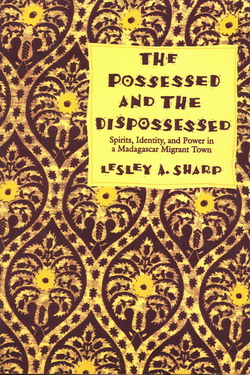 The Possessed and the Dispossessed: Spirits, Identity, and Power in a Madagascar Migrant Town
