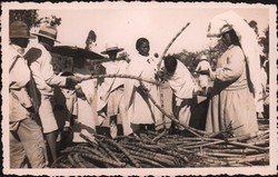 Malagasy market selling sugarcane