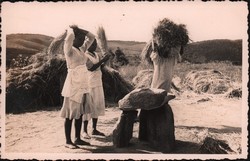 Threshing rice in Madagascar