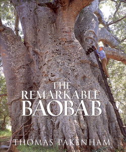 The Remarkable Baobab