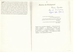 Rizires de Madagascar