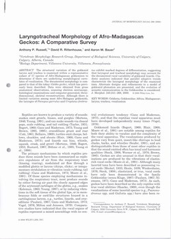 Laryngotracheal Morphology of Afro-Madagascan Geckos: A Comparative Survey