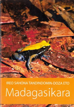 Ireo Sahona Tandindomin-doza Eto Madagasikara