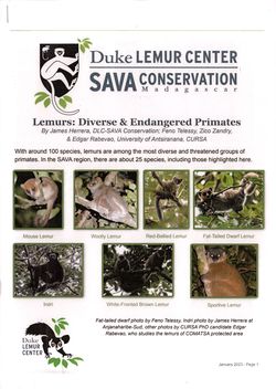Duke Lemur Center: SAVA Conservation Madagascar: January 2023