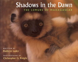 Shadows in the Dawn: The Lemurs of Madagascar