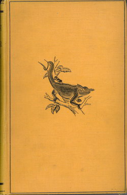 A Naturalist in Madagascar: A Record of Observation, Experiences, and Impressions made during a period of over Fifty Years' Intimate Association with the Natives and Study of the Animal & Vegetable Life of the Island