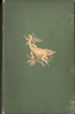 A Naturalist in Madagascar: A Record of Observation, Experiences, and Impressions made during a period of over Fifty Years' Intimate Association with the Natives and Study of the Animal & Vegetable Life of the Island