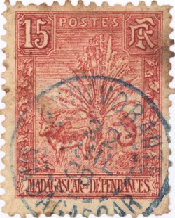 Zebu and Ravenala: 15-Centime Postage Stamp