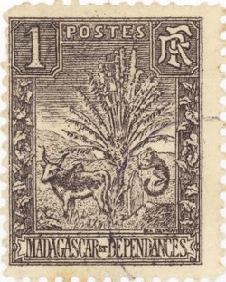 Zebu and Ravenala: 1-Centime Postage Stamp