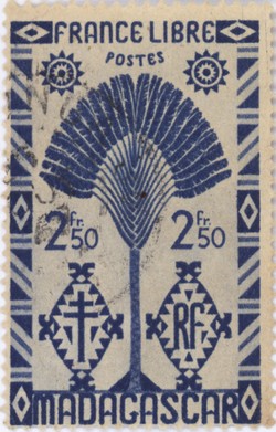 Ravenala Design: 2.50-Franc Postage Stamp