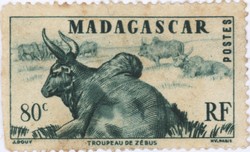 Zebu: 80-Centime Postage Stamp