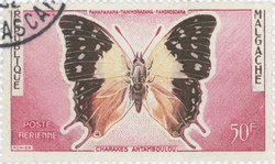 Charaxes antamboulou Butterfly: 50-Franc Postage Stamp