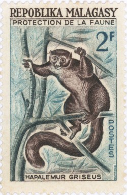 Hapalemur griseus: 2-Franc Postage Stamp