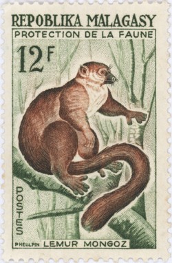 Lemur mongoz: 12-Franc Postage Stamp