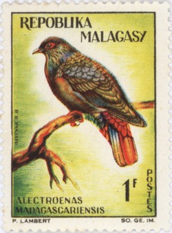 Alectroenas madagascariensis: 1-Franc Postage Stamp