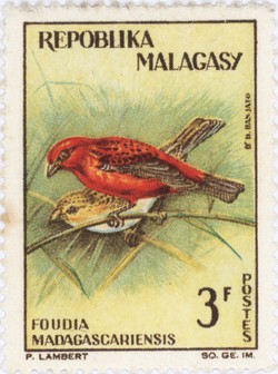 Foudia madagascariensis: 3-Franc Postage Stamp