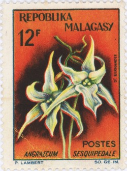 Angraecum sesquipedale: 12-Franc Postage Stamp