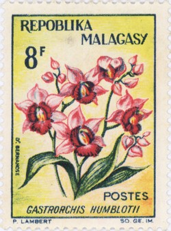 Gastrorchis humblotii: 8-Franc Postage Stamp