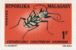 Cicindelidae: Chaetodera andriana: 1-Franc Postage Stamp