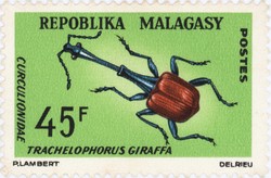 Curculionidae: Trachelophorus giraffa: 45-Franc Postage Stamp