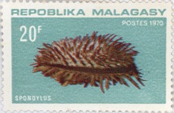 Spondylus: 20-Franc Postage Stamp