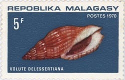 Volute delessertiana: 5-Franc Postage Stamp
