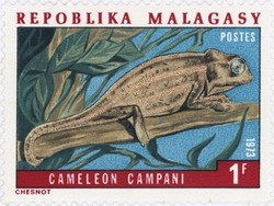 Chameleon campani: 1-Franc Postage Stamp