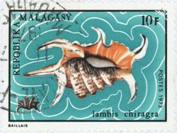 Lambis chiragra: 10-Franc Postage Stamp