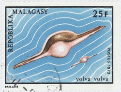 Volva volva: 25-Franc Postage Stamp