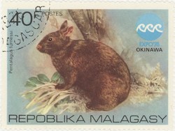 Amami rabbit, Expo'75 Okinawa: 40-Franc Postage Stamp