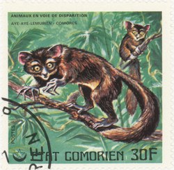 Aye-Aye Lemur: 30-Franc Postage Stamp
