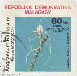 Angraecum ramosum: 80-Franc (16-Ariary) Postage Stamp