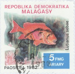 Lutjanus sebae: 5-Franc (1-Ariary) Postage Stamp