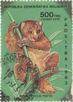Perodicticus potto: 500-Franc (100-Ariary) Postage Stamp