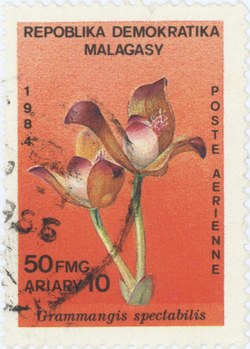 Grammangis spectabilis: 50-Franc (10-Ariary) Postage Stamp