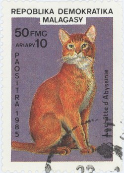 Abyssinian Cat: 50-Franc (10-Ariary) Postage Stamp