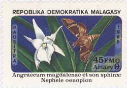 Angraecum magdalenae Orchid and Nephele oenopion Hawk Moth: 45-Franc (9-Ariary) Postage Stamp