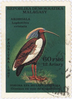 Lophotibis cristata: 60-Franc (12-Ariary) Postage Stamp