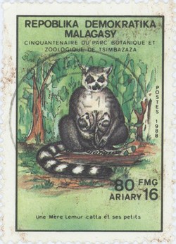 Tsimbazaza: Lemur catta: 80-Franc (16-Ariary) Postage Stamp