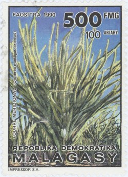 Didierea madagascariensis: 500-Franc (100-Ariary) Postage Stamp